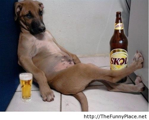 drunkrebates's tweet photo. The end of a weekend a getting ready for the workweek and I am just like.......
#workweek #fun #weekend #gettingready #work
#pets https://t.co/03yFceMfp9