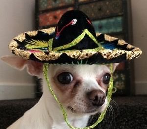 garyfromteenmom's tweet photo. when u get one of the spanish lyrics in despacito right https://t.co/sPQamb3R0T