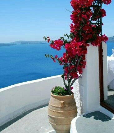 Nerrinaki's tweet photo. Καλημερα! https://t.co/he3gqpwPsT
