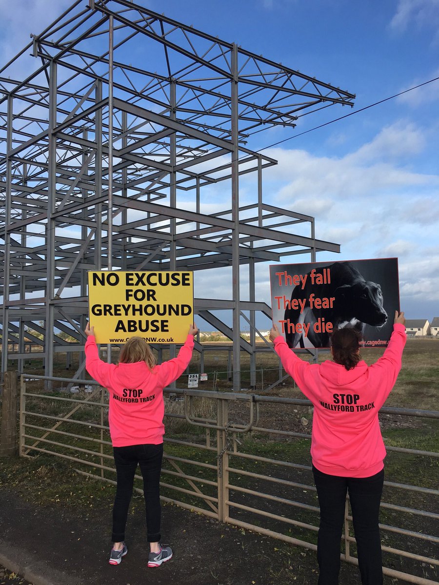 PetLevrieri's tweet photo. @Jura_Harris @AlisonJohnstone @elothiangreens @markruskell @mr_jason_rose @ELCouncil ๐๐#DuchessofHamilton & @elothiangreens for supporting this campaignโ
๐ฃ#Animalrights #Demo
๐#Edinburgh ๐#11Nov
โ#SayNoToWallyfordTrack https://t.co/fgAMkijU80