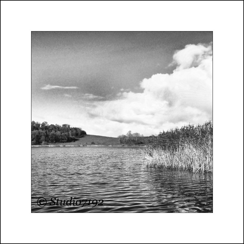 studio7192's tweet photo. Enniskillen, near Derrin Park - Lubitel2 MF, Ilford HP5 - #enniskillen #fermanagh #derrin #park #scenic #water - © https://t.co/UUjPGT2ZpM https://t.co/2NsZJOrIqO