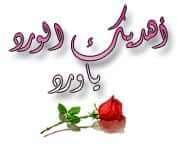 NJazair's tweet photo. @yara_lb حبيبتى يارا...ما بعرف كيف بنظرة تعملي هيك تاخدينى ليك وبمووووت عليكى وبعدو معدبنى الهوى هواكى يا احلى وارق يارا احبك موووت..عشاقك من الجزائر https://t.co/RwaM9S47tE