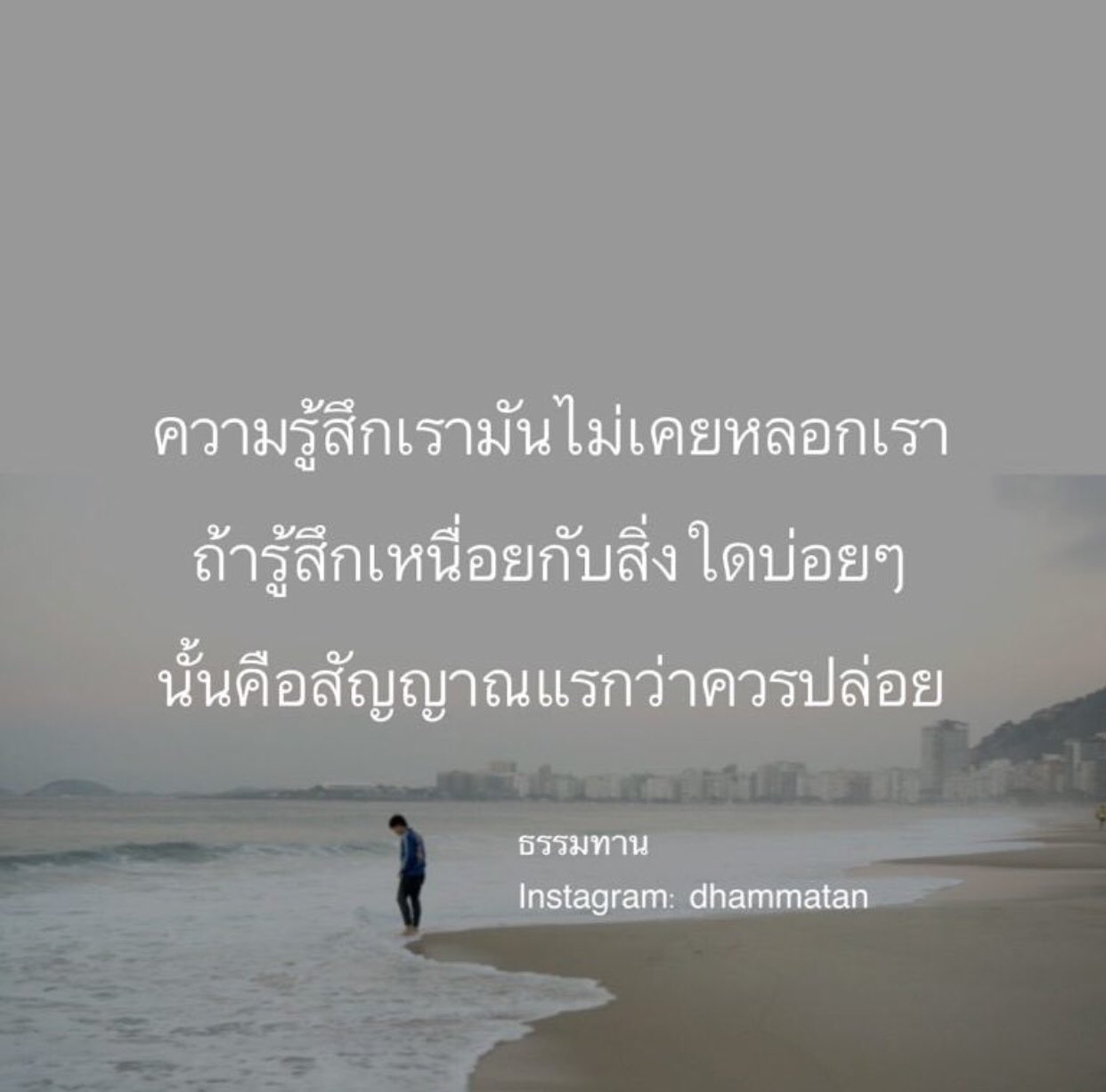 ทางของฉัน#ฝันของเธอ on Twitter: ทางของฉัน#ฝันของเธอ On Twitter: