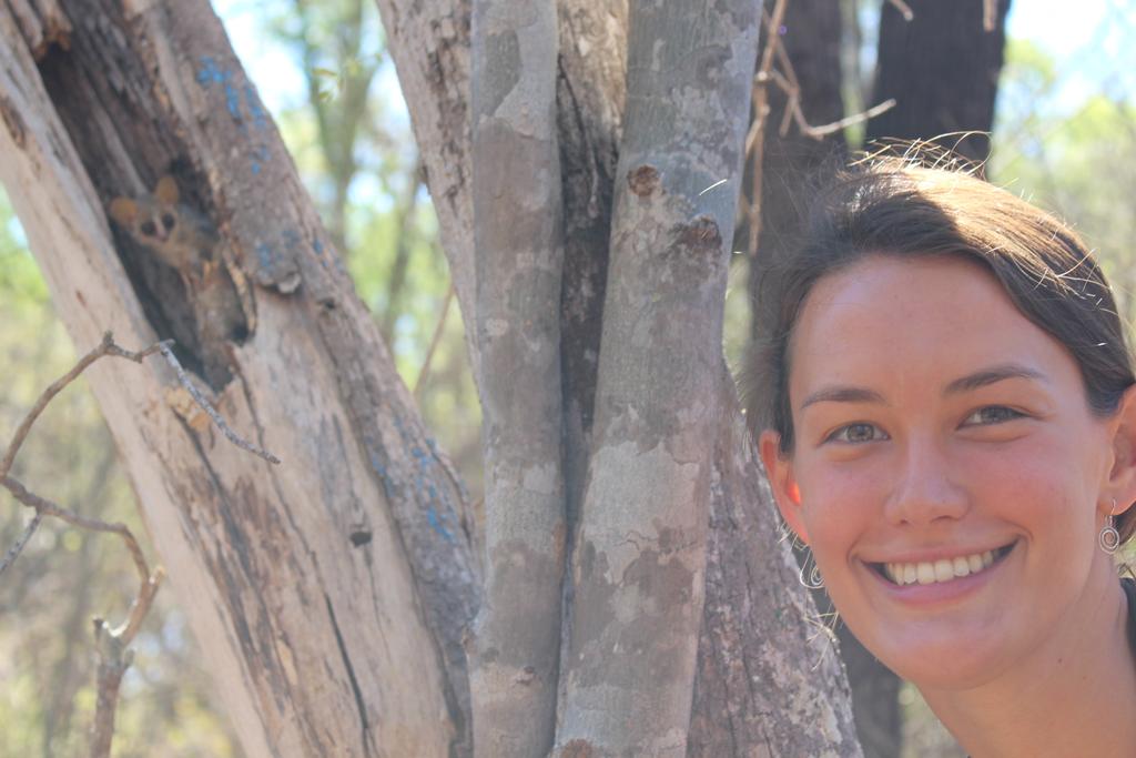 endangeredlemur's tweet photo. How small are #mouselemurs? TINY!! Here's my head for comparison. (The mouse #lemur is in the tree hole in the upper left) #microcebus https://t.co/74RSzMxoAX