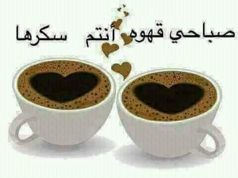 ShimoAli8 tweet picture