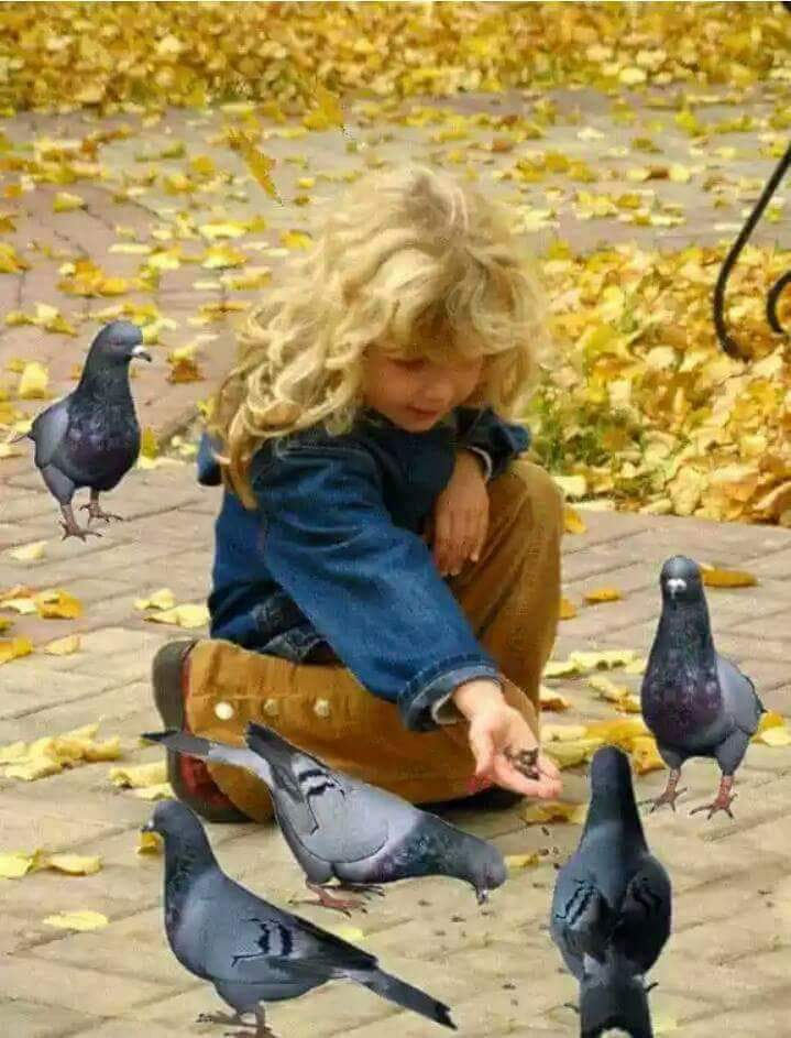 #هناء_العلي

الأوطان التي تبني ع الكراهية وترصد الناجح حتما سيقع أصحابها دون بسم الله ..لنجعل من المحبة عنوان والسلام طريقنا ..