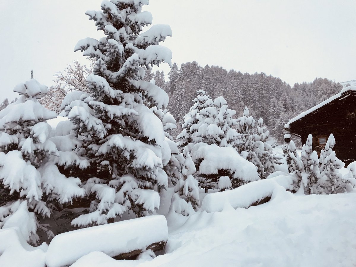 Cara dolce #neve buongiorno 😃 ❄️😎.   Love you #Livigno snow❄️