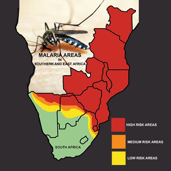 Fenix_RSA's tweet photo. With #summer in full swing it is the perfect time to enjoy the #outdoors, but make sure to pack the bug spray. #SADCMalariaDay #FenixSA https://t.co/3OLixmNDEO