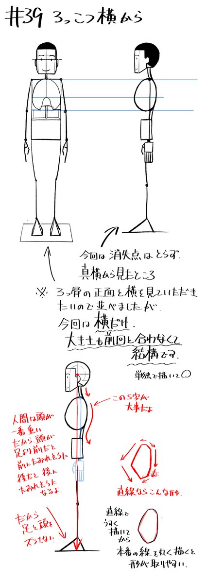 伊藤ひずみ 創作話垢 Pa Twitter 横の肋骨は描けましたね ただおそらく頭身の数え方を間違ってると思われます 上半身と下半身は同じくらいの流れになるはずなので