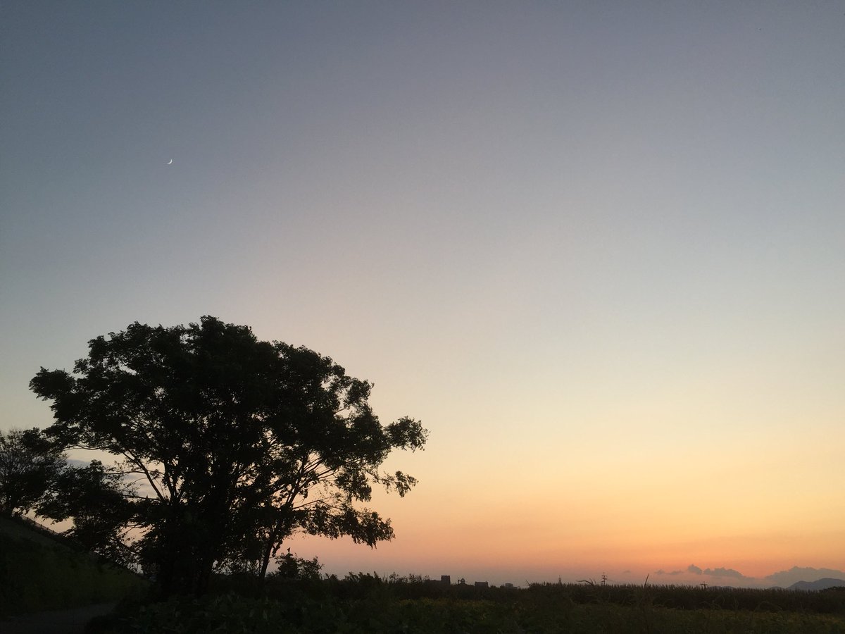 とうとう3パターンになった
この景色同じ場所なのに
この違い！
やっぱり空の写真撮るのは
面白い！面白すぎる！

#空 #最高 #日常 #もっと撮りたい