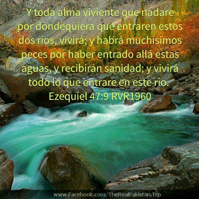 Pr_ALopez's tweet photo. @pasdarling @brunoraso @LuisVelasquez9 @Pr_Cevallos @adventistasEC @BogerJr @chrisgavilanes @Pr_JadsonRocha @DoraCastro15 @Pr_Freddy #Quitar la #sed, #saciar el #hambre, #fructificar la #vida, #sanar al #enfermo: #esto #hace #Jesucristo y #mucho #más. #Ven a #Jesús https://t.co/kZelM3o3Nn