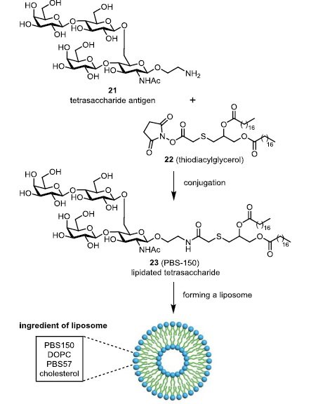 CzerwinsMarcin's tweet photo. NKT-cell glycolipid agonist as adjuvant in synthetic #vaccine #CD1d-restriction, #immunoregulation https://t.co/SAD2Zh5ZEw https://t.co/ZZrvaAaT0n