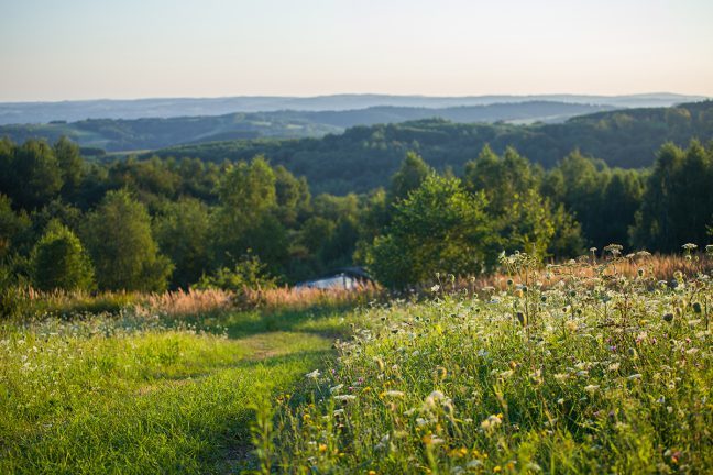 Terrealuma: Finding the Natural State: 
As a child, playing in the garden, the blissful absence of having to think… bit.ly/2hh0nZX
