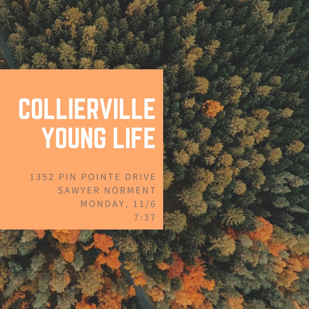 ColliervilleYL tweet picture