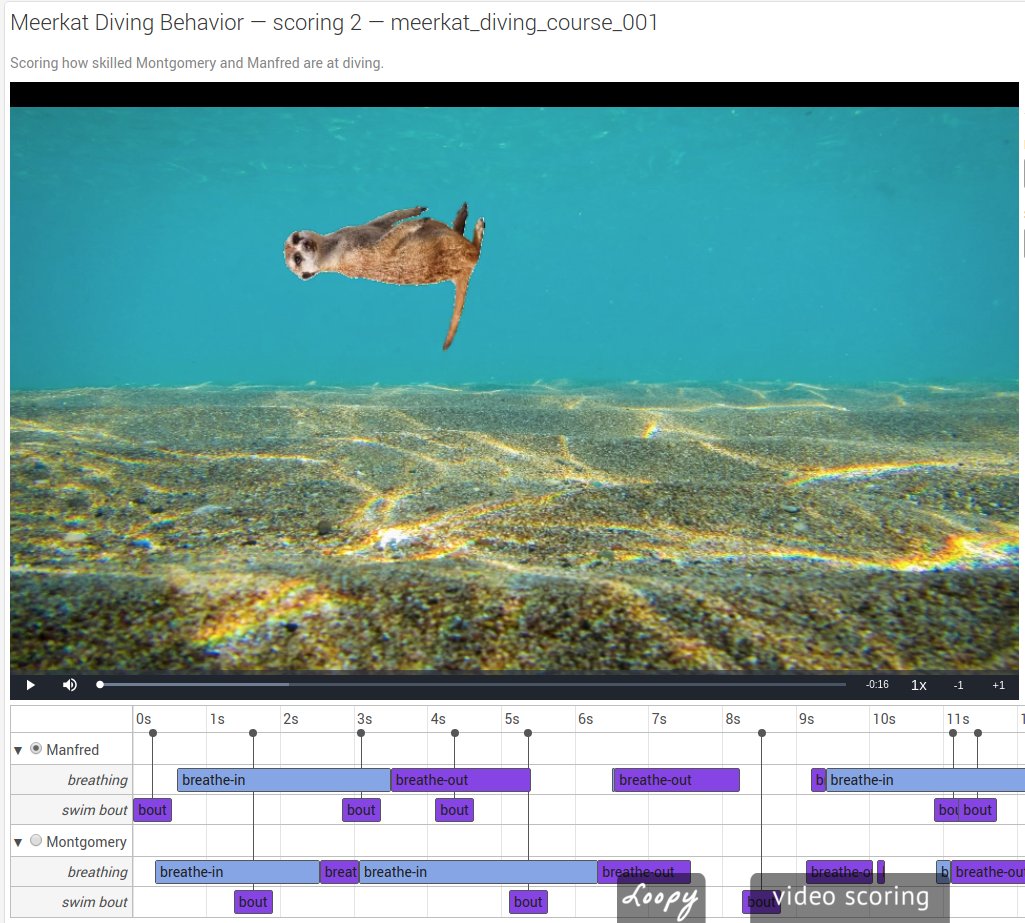 loopbio quantitative biology tweet media