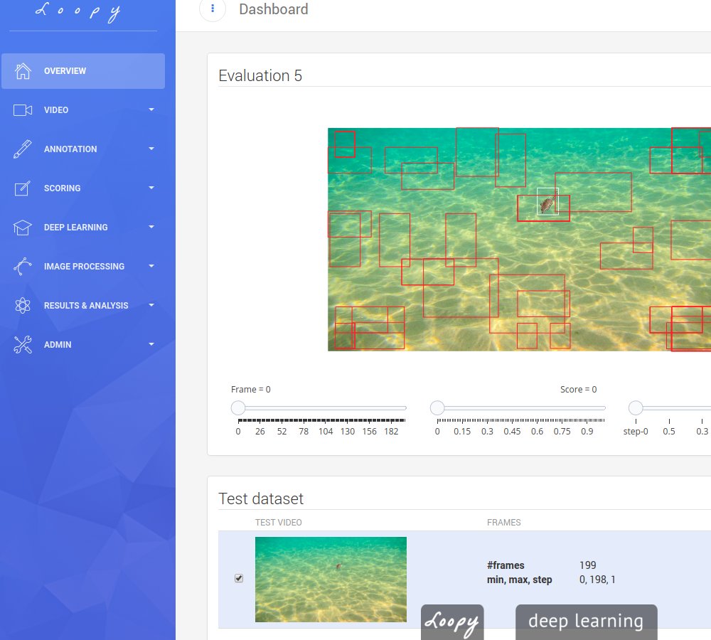 loopbio quantitative biology tweet media