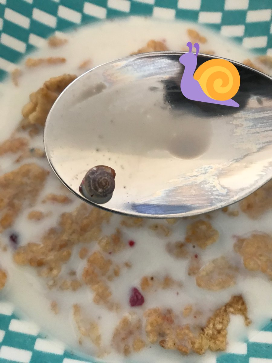 delighted to find a free toy in this morning’s cereal