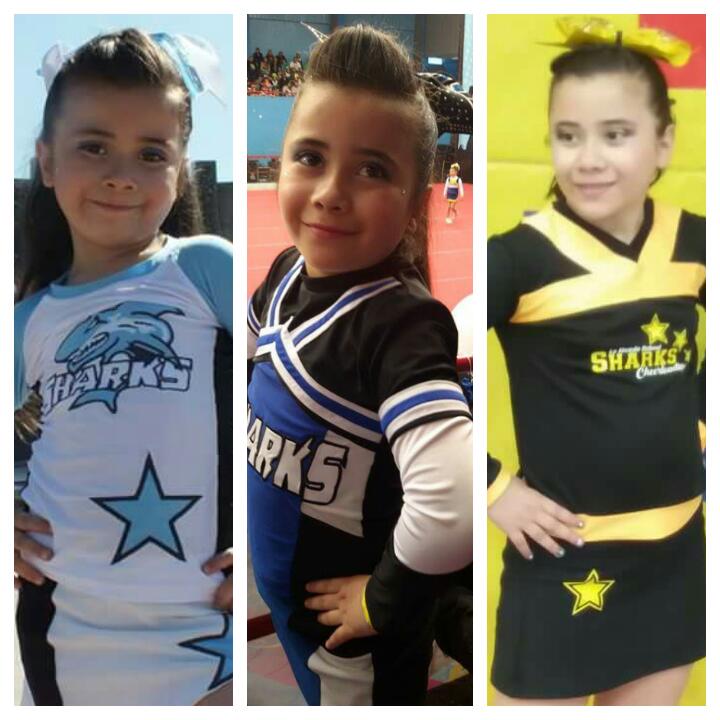 lsanchez_09's tweet photo. #SiempreShark, no importa los colores, campeona ayer, hoy y siempre https://t.co/j366t4i5I0