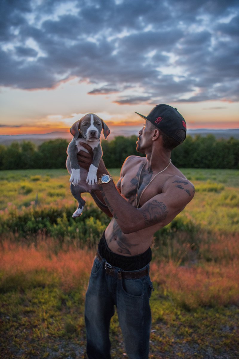 DarkDynastyK9s's tweet photo. Vibrant Sunset #Ddklinenation @JLeonLove https://t.co/nfYjjUDwNO
