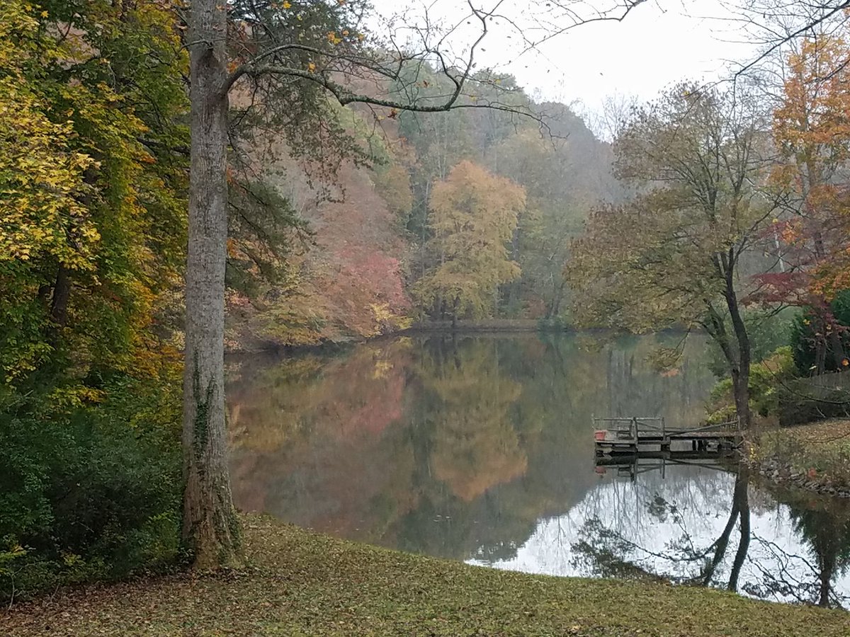 felixfsantistev's tweet photo. RT https://t.co/BXMBbf4bsJ #NaturePhotography by KarenRose Waterscape with #fog. https://t.co/8948CHRHax #tranqu… https://t.co/k02wlUE8d8
