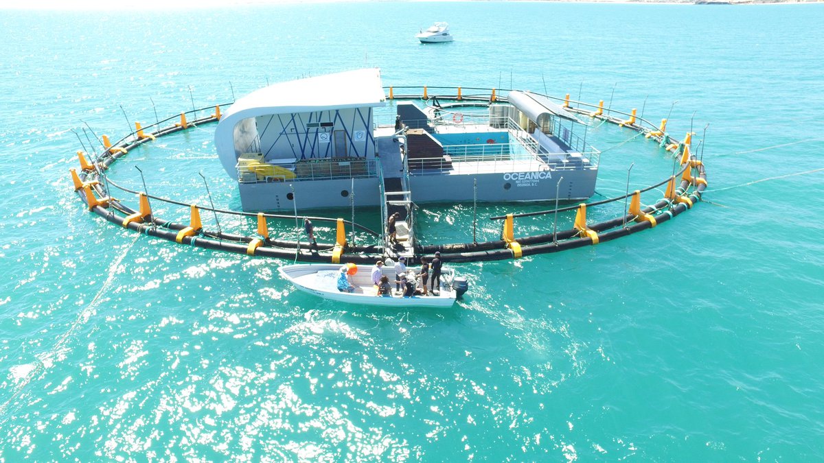 NZ-Blogs tweet media