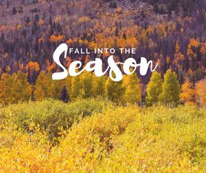BrownsRV's tweet photo. Come listen to our fall playlist on Spotify // #RV #RVTravels // https://t.co/9RV6Dah8jM https://t.co/s3Qd5NsbbK