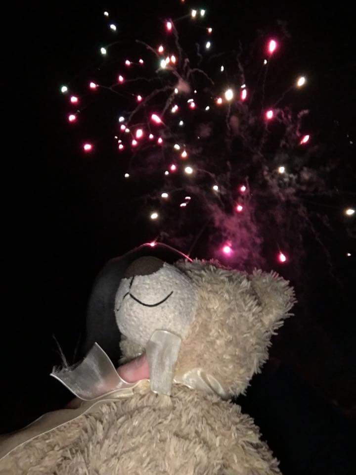 stylestyle78's tweet photo. A fun-filled weekend for Sophia Rose and golden bear 😍 https://t.co/9EQ8MI2TIc