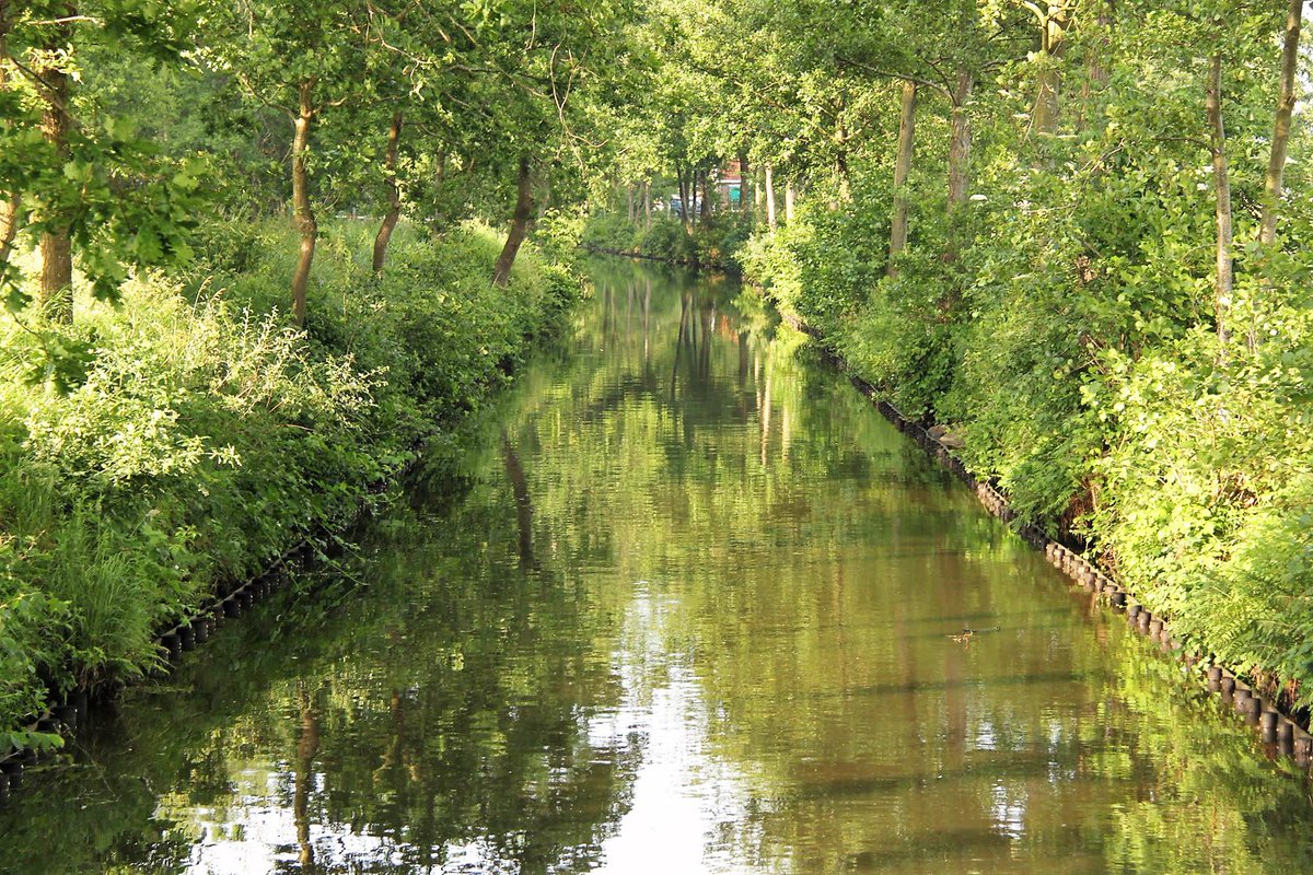 fieggentrio's tweet photo. Ruigahuizen (Friesland) https://t.co/ZNTv1tBZPO
Ruigahuizen is een dorp in de gemeente De Friese Meren, in de Nederlandse provincie Friesland, ten zuidwesten van Balk.
Het telt...
#Ruigahuizen #FrieseMeren #friesland #Balk #Gaasterland #Travel #tourism #Nederland #Netherlands https://t.co/rh17Wo4E52