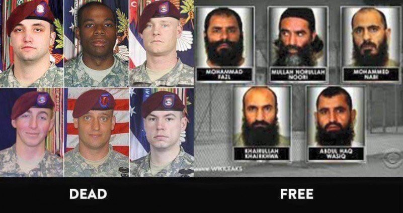 5 terrorists freed by Obama for Bergdahl join Taliban