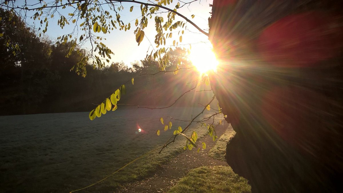 CliffRuddell's tweet photo. first frost #morningsun #creativecoventry #morningwalk #timeonmyhands https://t.co/jn1pkubFys