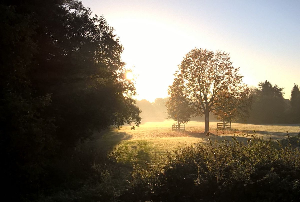 CliffRuddell's tweet photo. first frost #morningsun #creativecoventry #morningwalk #timeonmyhands https://t.co/jn1pkubFys