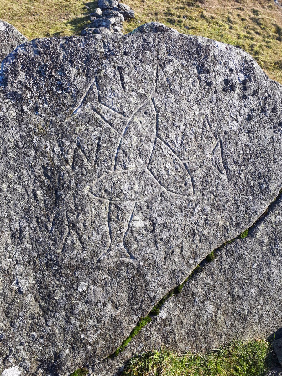 AberdeenYW's tweet photo. We had a cold and boggy walk up the Buck of Cabrach on Saturday. https://t.co/R9ohLisXVK