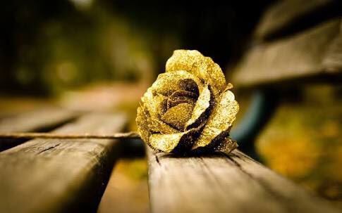 L_Opulence's tweet photo. “You're only here for a short visit. Don't hurry, don't worry. Smell the flowers along the way.” ~ Walter Hagen

 #MondayMotivation https://t.co/Y7ZwSKjPdC