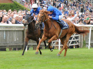 ggcouk's tweet image. Breeders' Cup repeat bid the main aim for Wuheida next year - gg.co.uk/news/headlines… #horsracing #racingnews