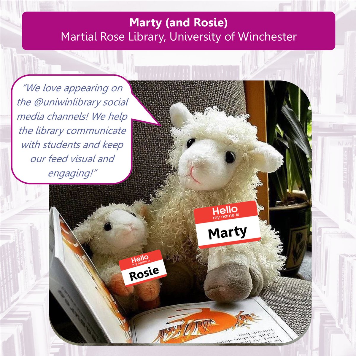 ARLGSouthern's tweet image. Meet Marty &amp;amp; Rosie, the sheep of the Martial Rose Library who love brightening up the @uniwinlibrary channels! #MeettheMascot #librarymascot