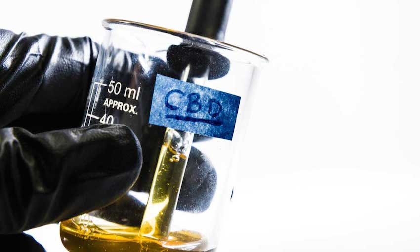 revistacanamo's tweet image. bit.ly/2j2vNDJ La ONU se reúne para hablar sobre el futuro de muchas sustancias prohibidas.
El CBD es una de estas sustancias.