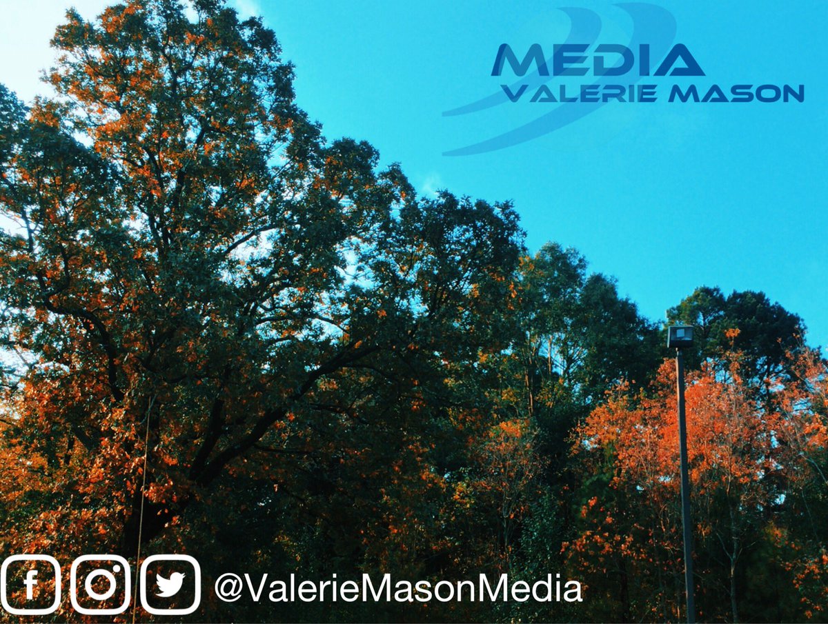 TDFExperiment's tweet image. #ValerieMasonMedia started by @Playboy #playmate, tv personality , @PlaymateValerie edited these photos for #Instafame