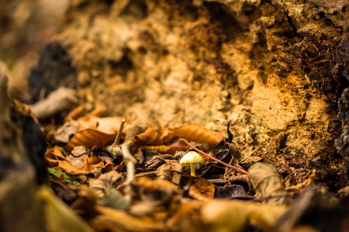 Snap Creative Photos tweet media