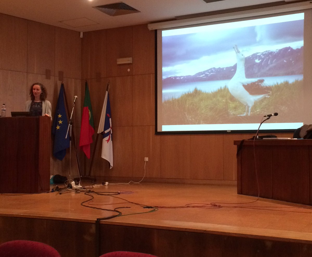 _JoseSeco_'s tweet photo. Stephanie talking about the @Natures_Voice at the @APECS_Portugal workshop - Science pathways @covilha https://t.co/T4CWMPhc5q