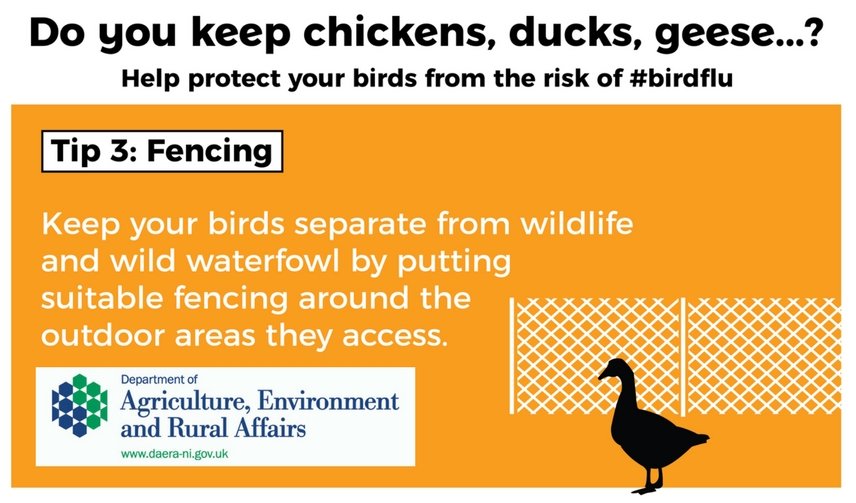 Poultry keepers - remain vigilant to the threat of Avian Flu during the migratory cycle daera-ni.gov.uk/articles/avian… #birdflu