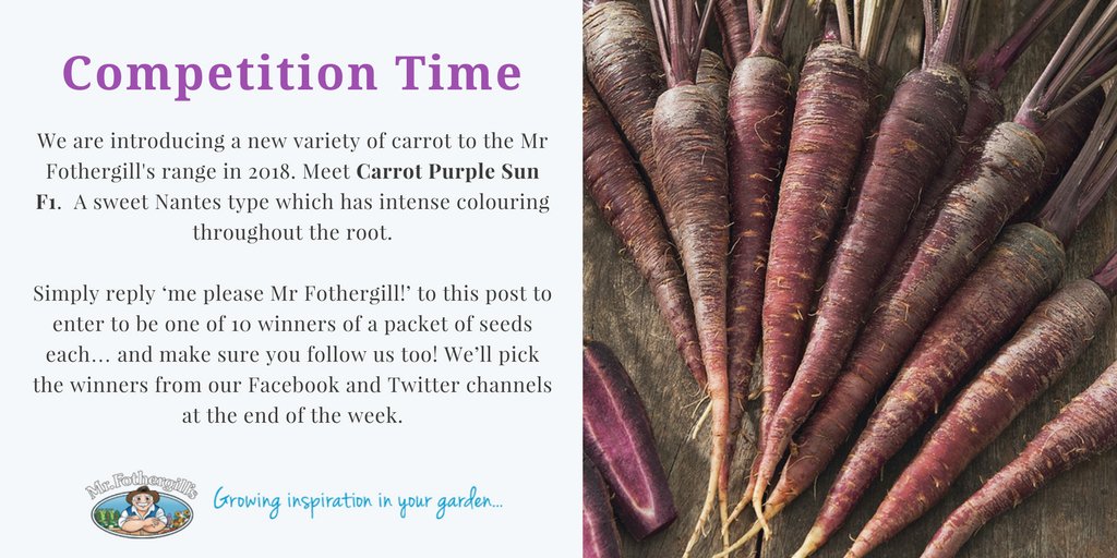 Enter our #giveaway to #win #carrot #seeds
10 lucky winners, drawn on Friday!
Pls #RT
#competition #share
mr-fothergills.co.uk