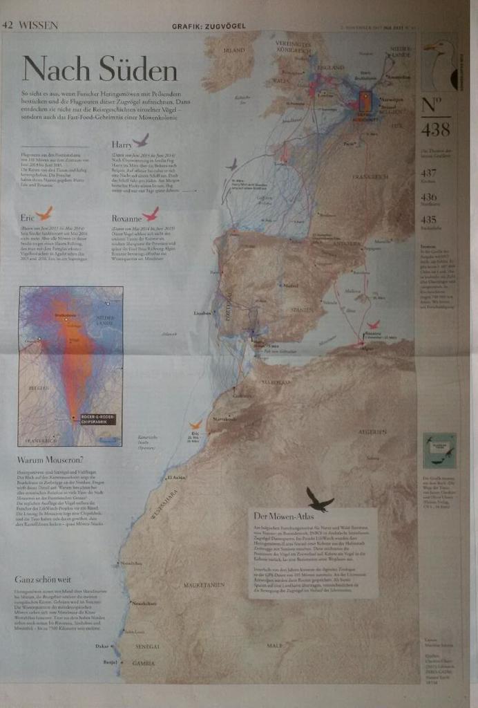 AniMove's tweet photo. great to see #animalmovement data in german newspaper @DIEZEIT from "where the animals go" book by @spatialanalysis https://t.co/mrR1NJfOlB