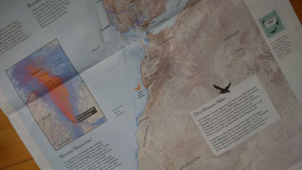 AniMove's tweet photo. great to see #animalmovement data in german newspaper @DIEZEIT from "where the animals go" book by @spatialanalysis https://t.co/mrR1NJfOlB
