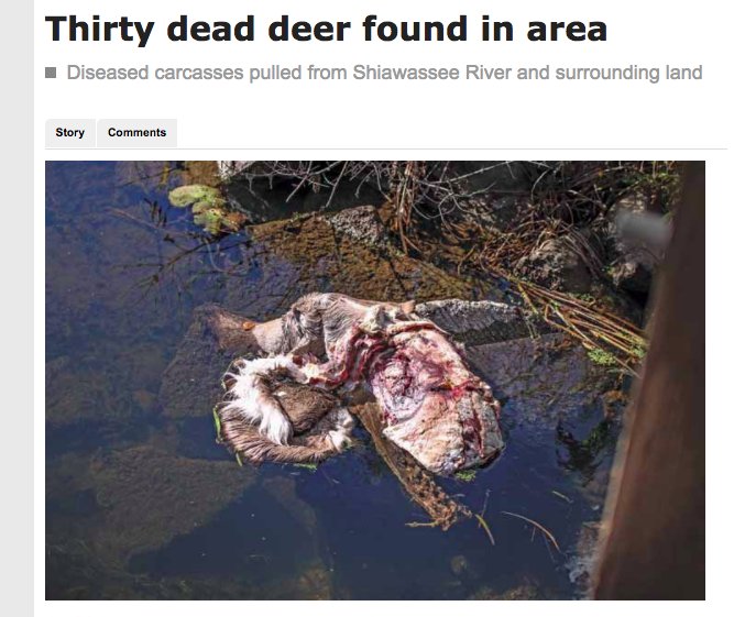 CwdickD's tweet photo. Epizootic Hemorrhagic Disease (EHD) is infecting #deer in Washtenaw County #A2council #deercull #annarborprobz https://t.co/LLkOeM0Kp7 https://t.co/xp2vhNe7uv