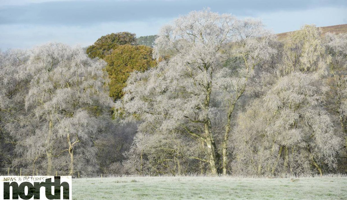 PaulKingstonITV's tweet photo. Almost whiteout conditions in Northumberland this morning with a beautiful hoar frost coating everything in tiny crystals #frosty @StormHour https://t.co/DbFJvLG9lt