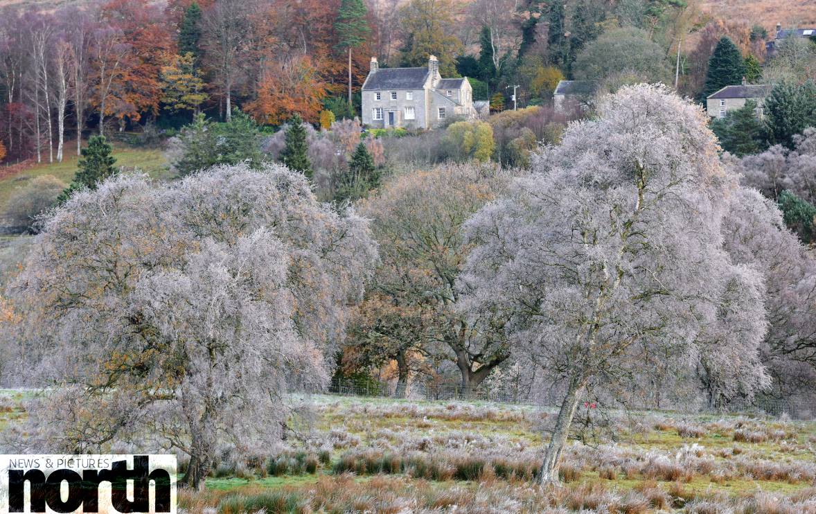 PaulKingstonITV's tweet photo. Almost whiteout conditions in Northumberland this morning with a beautiful hoar frost coating everything in tiny crystals #frosty @StormHour https://t.co/DbFJvLG9lt