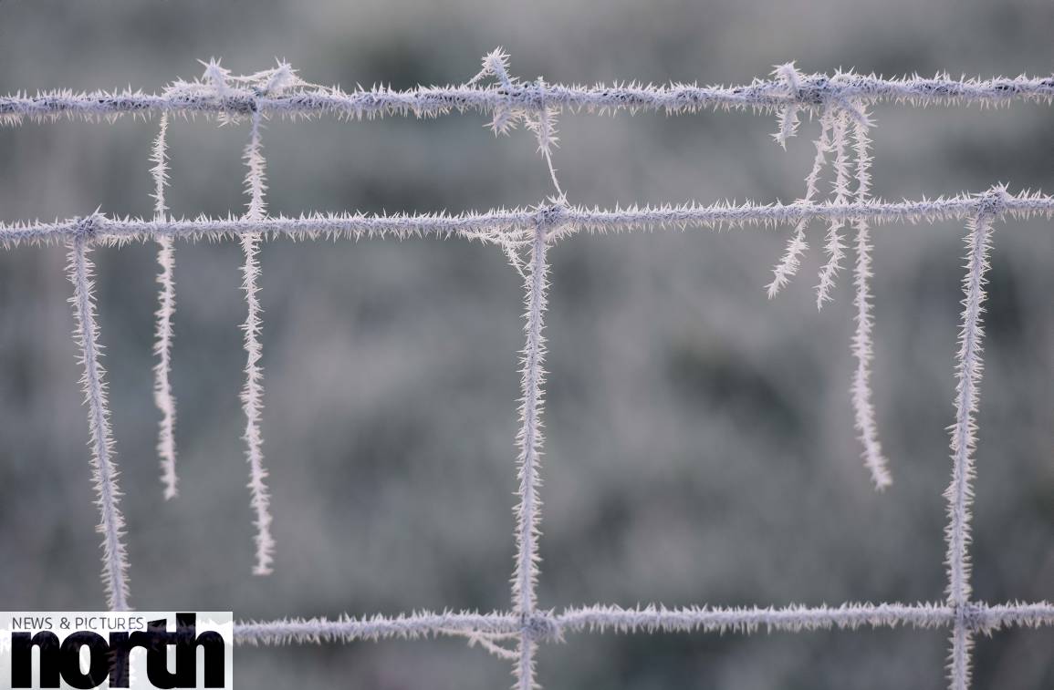 PaulKingstonITV's tweet photo. Almost whiteout conditions in Northumberland this morning with a beautiful hoar frost coating everything in tiny crystals #frosty @StormHour https://t.co/DbFJvLG9lt