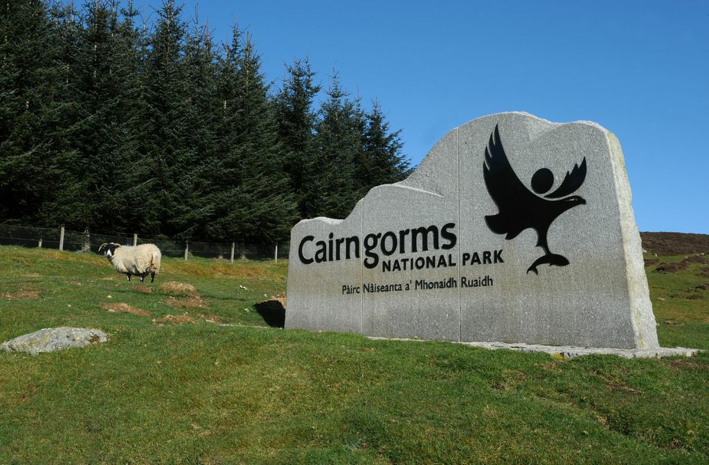 cairngormsnews's tweet image. #Today we are looking for your views on the Park Authority's #Gaelic Language Plan - here: ow.ly/kKhx30gnj8z #Consultation #Cairngorms