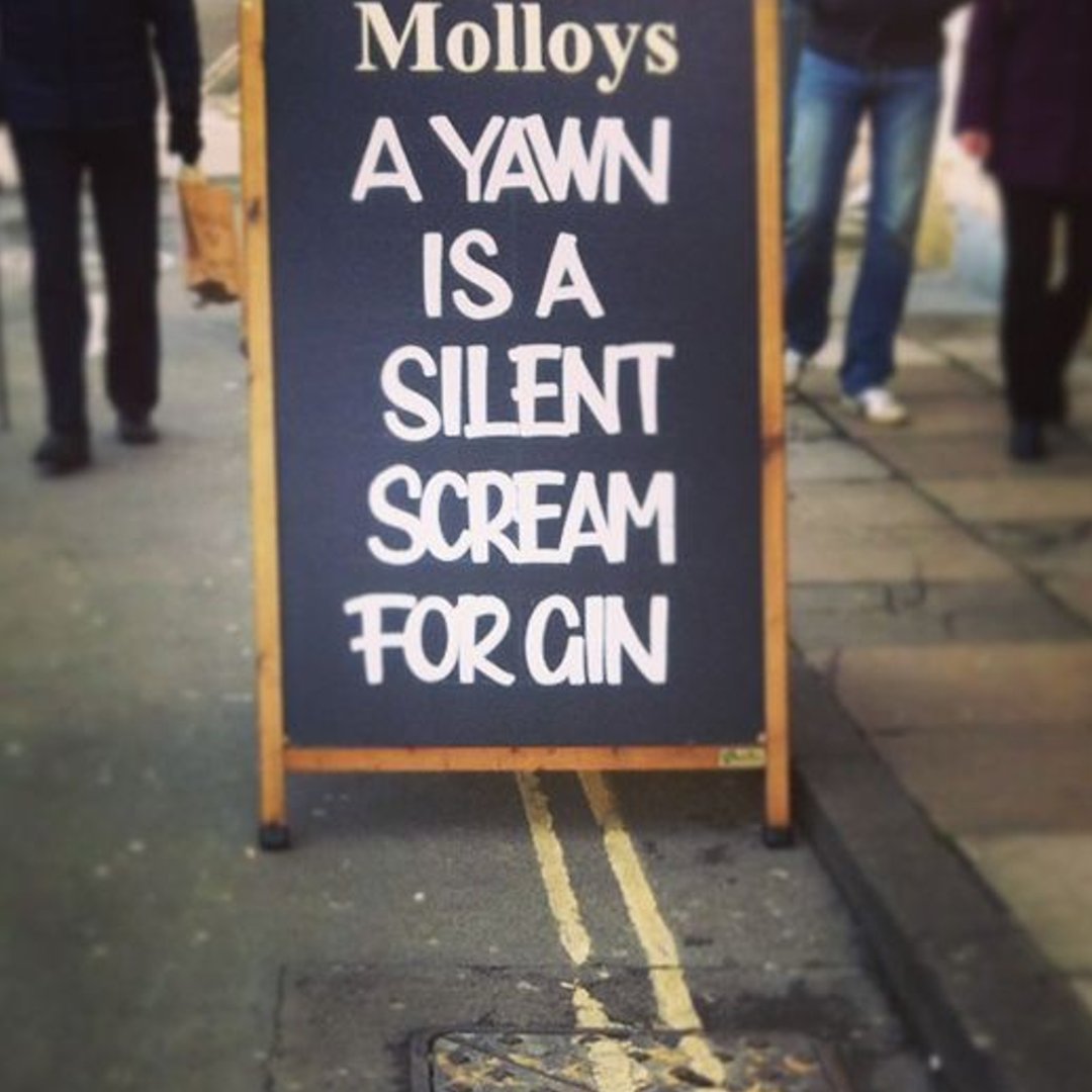 craftginclub's tweet photo. Monday mornings mean plenty of silent screams! How about you #gin fans? 

 Check out our 5 star reviews! ➡️ https://t.co/k533PmAa7E https://t.co/2j5R3Z6co0
