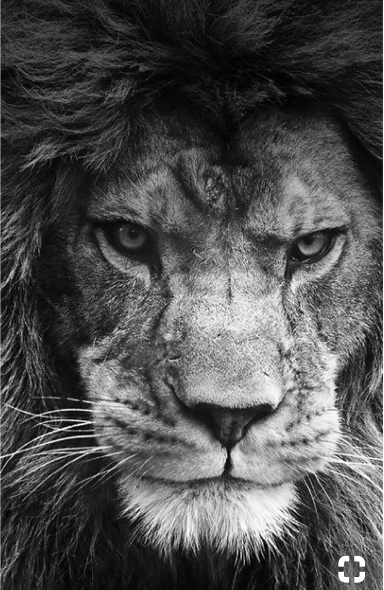 Voltamos ao jogo ... #timbeta #timseguetim #continuarbetalab